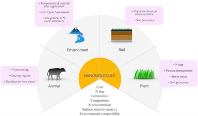 Nanofertilizers: A Cutting-Edge Approach to Increase Nitrogen Use Efficiency in Grasslands